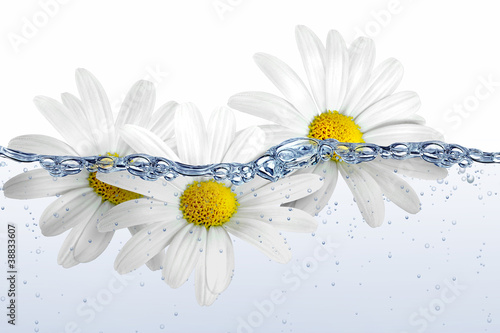 Photo: Wasser 65 Wasser 65