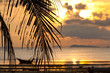 Sunset with palm tree in front and  defocused boat