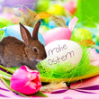 Hase wünscht Frohe Ostern