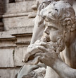 Trevi Fountain Detail