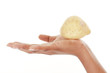 Potato Resting on palm