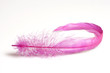feather