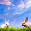art couple  little Easter rabbits  on green grass