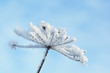 Foto: Winter landscape.Winter scene Winter landscape.Winter scene