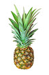 pineapple on white pineapple on white