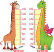 Stadiometer with cute Dragon and Giraffe