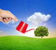 hand watering a tree with watering can hand watering a tree with watering can