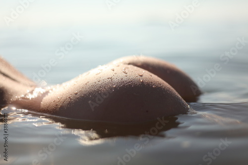 Foto: Женские ягодицы в воде Женские ягодицы в воде