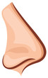 nose