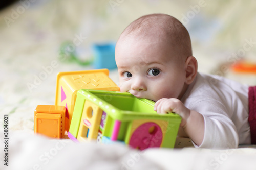 Photo: Baby bites toy block Baby bites toy block