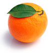 Orange fraîche