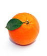 Orange feuille