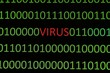 Virus on binary data