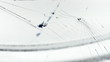 Spider Making Web on White