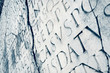 Roman Latin Script