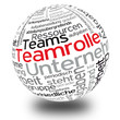 Teamrolle