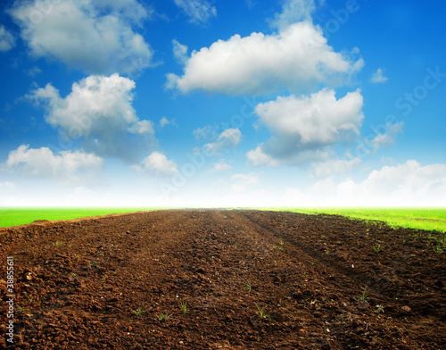 Photo: Soil Background blue sky Soil Background blue sky