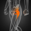 Illustration: human radiography scan human radiography scan