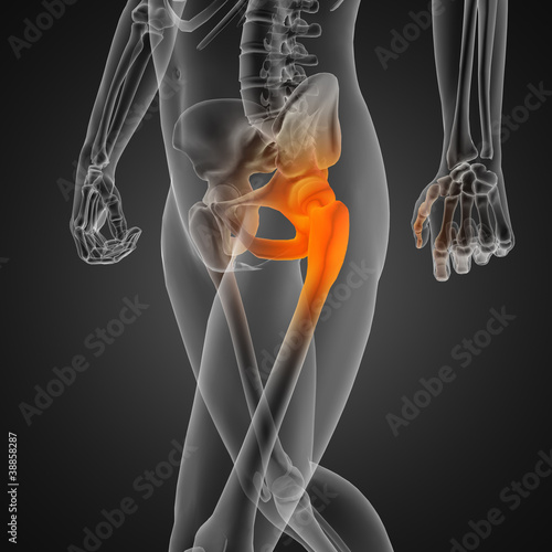 Illustration: human radiography scan human radiography scan
