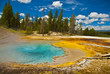 Geyser Landscape