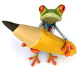 Grenouille Docteur Grenouille Docteur