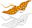 Ray