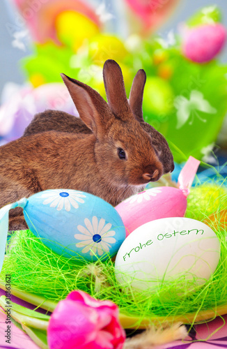 Foto: Hasige Ostergrüße Hasige Ostergrüße