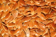 Photo: Closeup of flaxseeds Closeup of flaxseeds