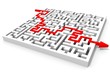3D Labyrinth with Red Arrow