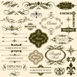 calligraphic decorative design elements set. page decoration