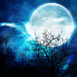 illustration of the night with a fool moon illustration of the night with a fool moon