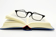 Literatur studieren