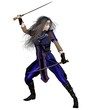 Fantasy Warrior Princess Fighting