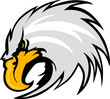 Eagle Mascot Head Vector Graphic