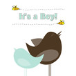 baby arrival card