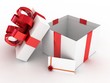 Gift  open white box