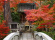 Japon en automne (Eikan-de temple)