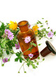 Bottle of essential oil and flowers isolated on white Bottle of essential oil and flowers isolated on white