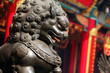 bronze lion in chinese temple bronze lion in chinese temple