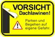Dachlawine 10 a