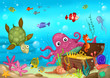 sea life