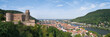 Heidelberg mit Schloss