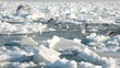 Video: Frozen Black Sea Frozen Black Sea