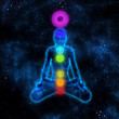 Human chakra system