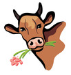 happy cow portrait multicolored happy cow portrait multicolored