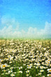 Spring, summer background Spring, summer background