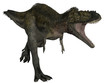 Alioramus - 3D Dinosauier