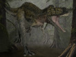 Alioramus - 3D Dinosauier