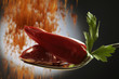 Capsicum Capsicum
