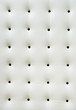 White leather upholstery with black buttons